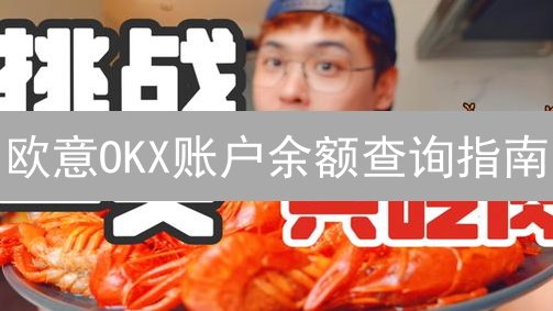 欧意OKX账户余额查询指南：数字资产管理技巧