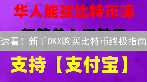 速看！新手OKX购买比特币终极指南：避坑必看！