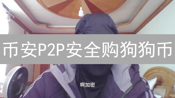 币安P2P安全购狗狗币？新手必看风险与防范指南！