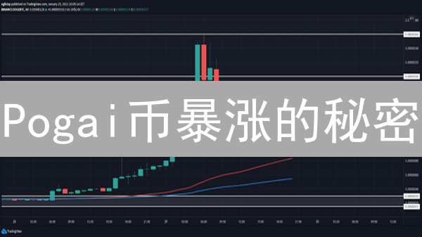 Pogai币暴涨的秘密？深度解析与投资风险警示！