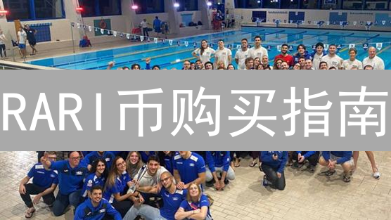 RARI币购买指南：币安平台入门精通教程