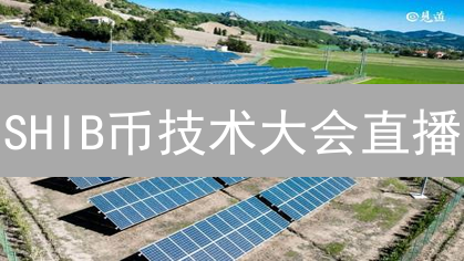 SHIB币技术大会直播：技术创新与社区共建
