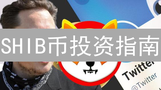 SHIB币投资指南：如何在欧易平台巧避雷区？