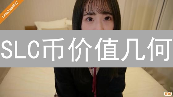 SLC币价值几何？深度解析！惊人潜力待爆发！