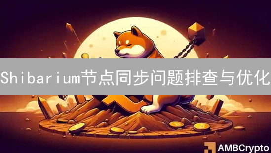 Shibarium节点同步问题排查与优化：全面疑难解答