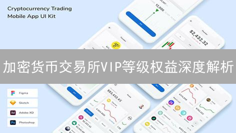 加密货币交易所VIP等级权益深度解析