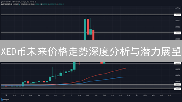XED币未来价格走势深度分析与潜力展望