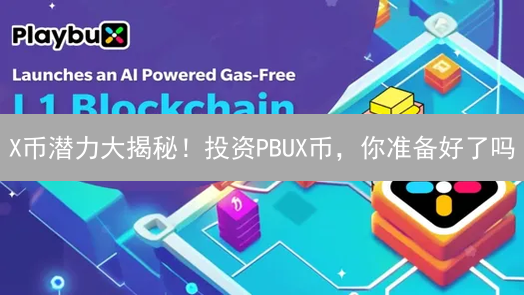 X币潜力大揭秘！投资PBUX币，你准备好了吗？